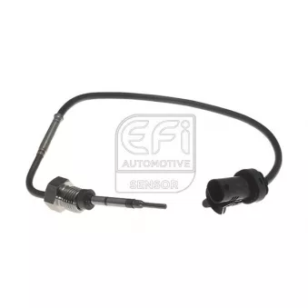 Capteur, température des gaz EFI AUTOMOTIVE 1473997