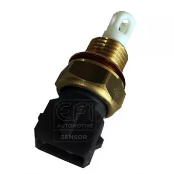 Capteur, température de l'air d'admission EFI AUTOMOTIVE 295039