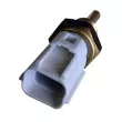 EFI AUTOMOTIVE 295055 - Sonde de température, liquide de refroidissement