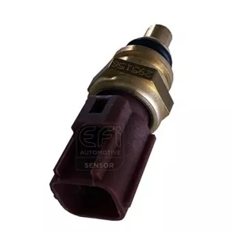 EFI AUTOMOTIVE 295156 - Sonde de température, liquide de refroidissement