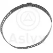Collier de serrage Aslyx [AS-200053]