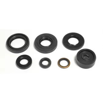 Jeu de joints moteur ATHENA P400485400087