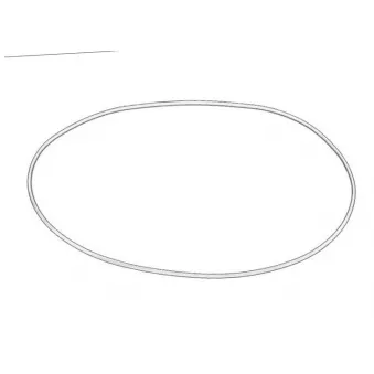 Bague d'étanchéité OE 7700575468