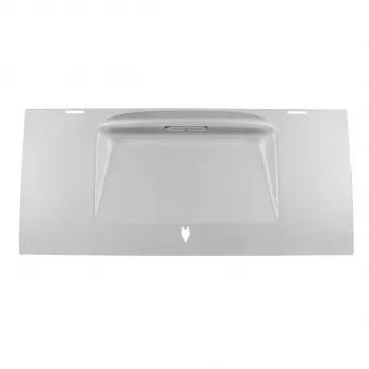 YOUNG PARTS 0157-440 - Capot moteur