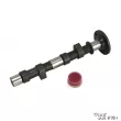 YOUNG PARTS 1626 - Arbre a cames Engle W 110