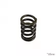 Ressort soupape, A l'unité YOUNG PARTS [1735-500]