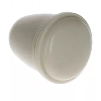 YOUNG PARTS 2444-145 - Bouton interrupteur d'essuie-glace, ivoire (4mm)