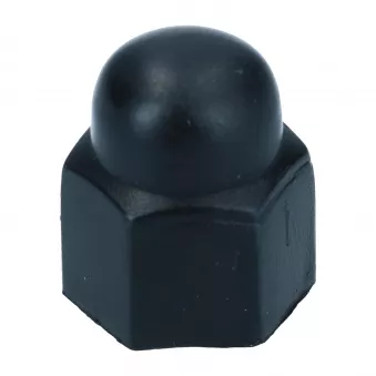 Cache boulon noir - 19 MM piece YOUNG PARTS 2589-100