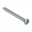Vis plat 3.9 x 38 Din 7981 inox YOUNG PARTS [8760-3938]
