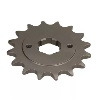 pignon de chaîne JT JTF276.16