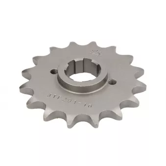 pignon de chaîne JT JTF291.16