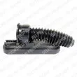 DELPHI TBR4029 - Joint-soufflet, direction