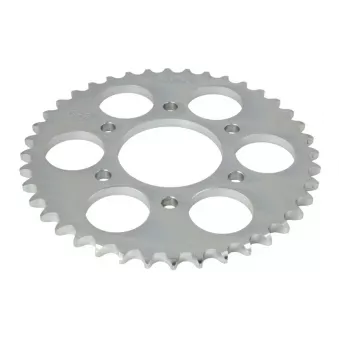 Pignon JT JTR481.40