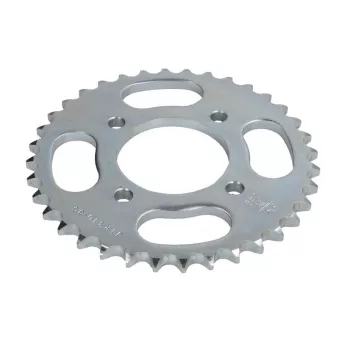 Couronne, pignon de moto JT JTR810.36
