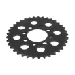 JT JTR801.37 - Pignon