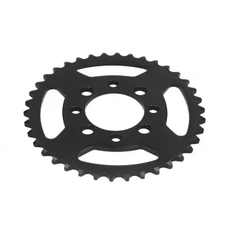 Couronne, pignon de moto JT JTR801.38