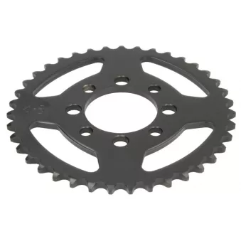 Couronne, pignon de moto JT JTR801.39