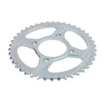 Couronne, pignon de moto JT JTR810.42