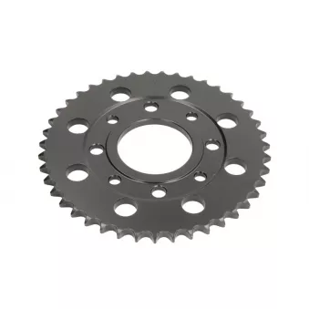 Pignon JT JTR269.43