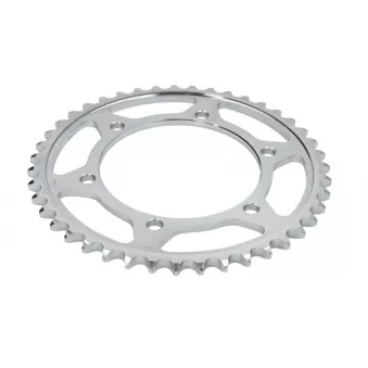 Pignon JT JTR499.43
