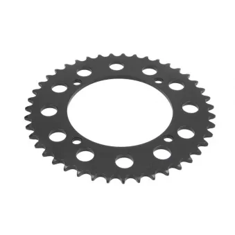 Couronne, pignon de moto JT JTR857.43