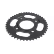 JT JTR218.44 - Couronne, pignon de moto