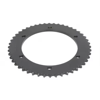 Couronne, pignon de moto JT JTR463.48