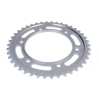 Couronne, pignon de moto JT JTR899.42