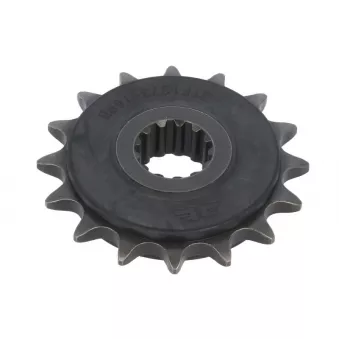 pignon de chaîne JT JTF1373.16RB