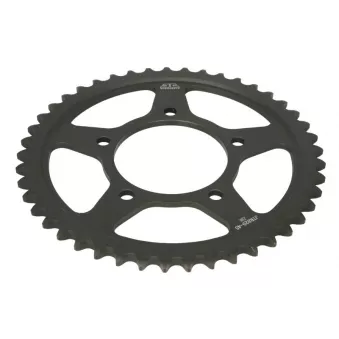 Pignon, couronne de chaine JT JTR829.45ZBK