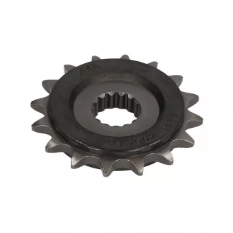 pignon de chaîne JT JTF1902.16RB