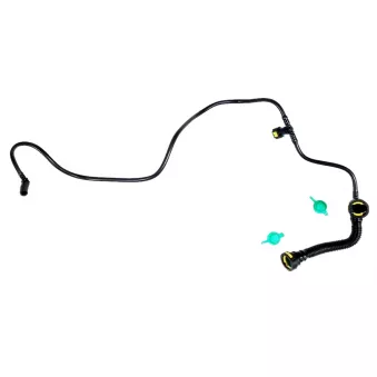 Tuyau, carburant de fuite OE [1574C1]