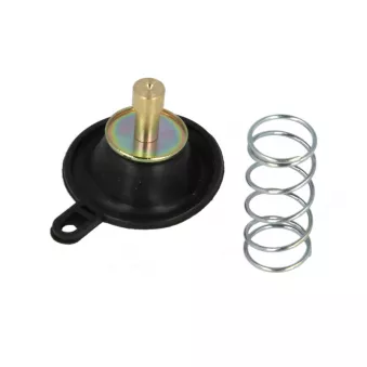 Soupape d'air pour carburateur TOURMAX ACV-202