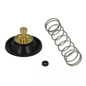 Soupape d'air pour carburateur TOURMAX ACV-401