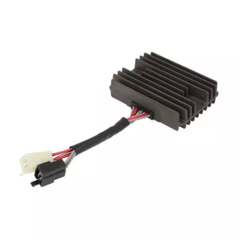 TOURMAX RGU-303 - régulateur, alternateur