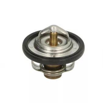 Thermostat d'eau TOURMAX TMT-301