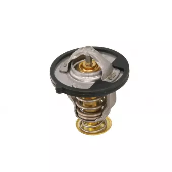 Thermostat d'eau TOURMAX TMT-104