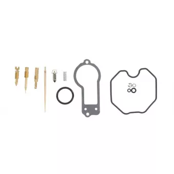 TOURMAX CAB-DH19 - kit de réparation, carburateur