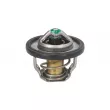 TOURMAX TMT-304 - Thermostat d'eau