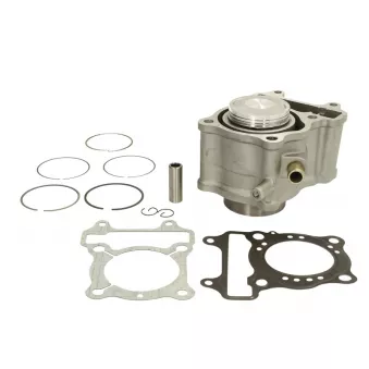 kit de réparation, chemise de piston/cylindre RMS 10 008 1020