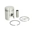 RMS 10 009 0014 - jeu de pistons