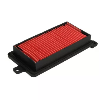 Filtre à air RMS 10 060 2451