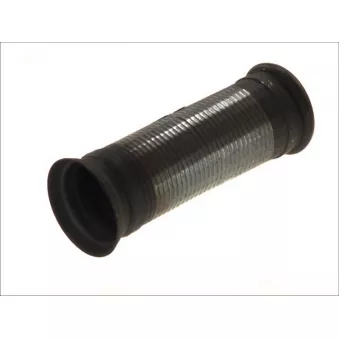 Tuyau d'échappement DINEX 53171