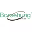 Courroie de distribution Borsehung [B10228]