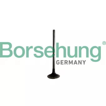Borsehung B10329 - Soupape d'émission