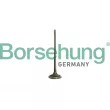 Soupape d'admission Borsehung [B10332]