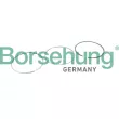 Borsehung B10364 - Jeu de segments de pistons