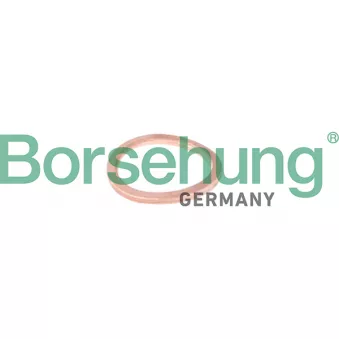 Borsehung B10636 - Joint d'étanchéification, conduite de réfrigérant