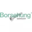 Borsehung B10645 - Vis de culasse