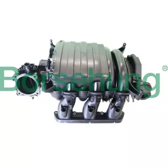 Tube d'admission, alimentation d'air Borsehung B10662